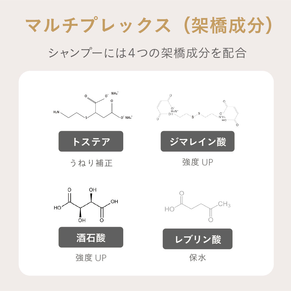 NEW】ESTABLISHED コアプレックス シャンプー400ml – SALON CU EC by