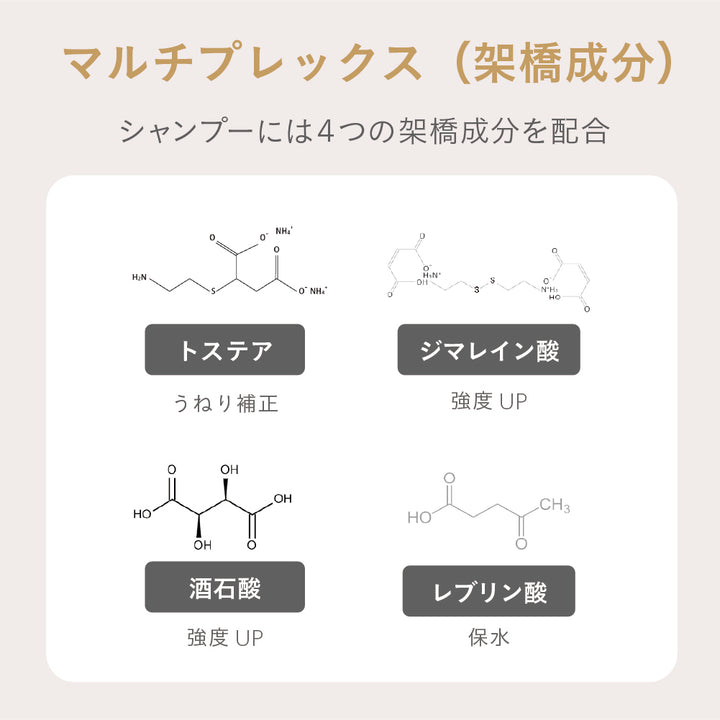 NEW】ESTABLISHED コアプレックス シャンプー400ml – SALON CU EC by