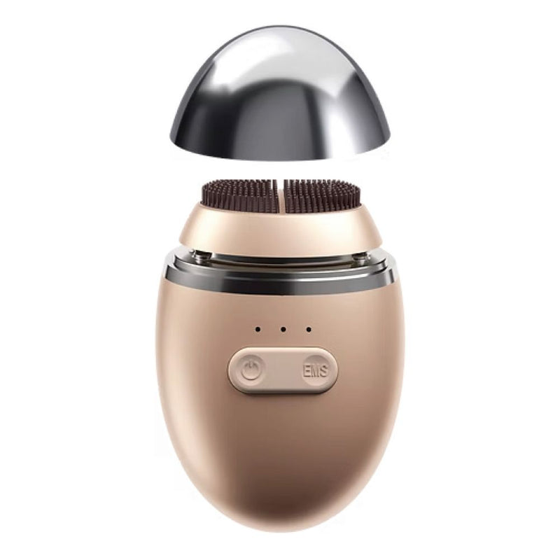 ゾーガンキン オーヴォ