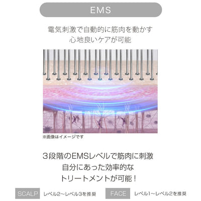 mous.EREBRU(エレブラ)