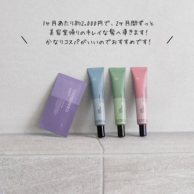 ESTABLISHED システムトリートメント