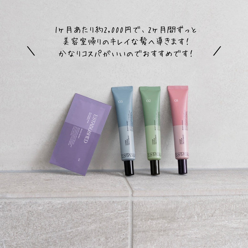 ESTABLISHED システムトリートメント