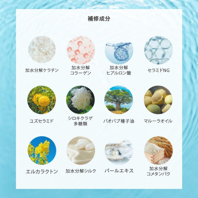 ESTABLISHED システムトリートメント