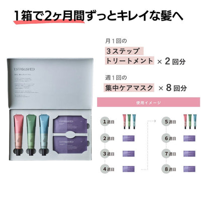 ESTABLISHED システムトリートメント