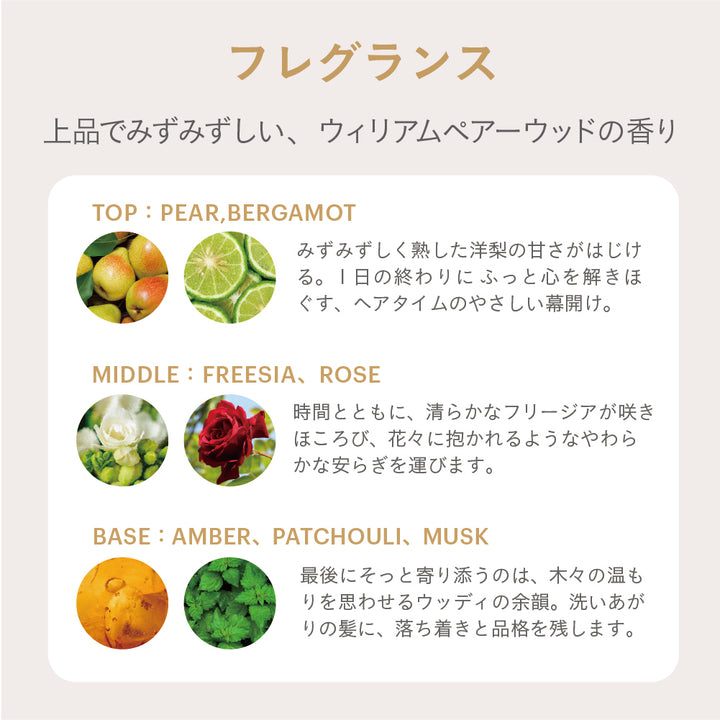 ESTABLISHED コアプレックス シャンプー400ml – SALON CU EC by Shopify