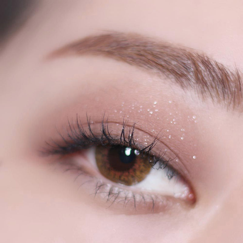 フォレンコス ベアシャドウパレット 04