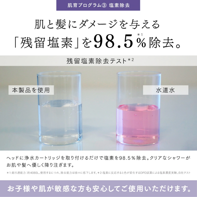 MYTREX マイトレックス HIHO FINE BUBBLE+e MT-HFE23SL